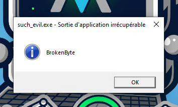 Résultat de l&rsquo;exécution du programme dans une VM.